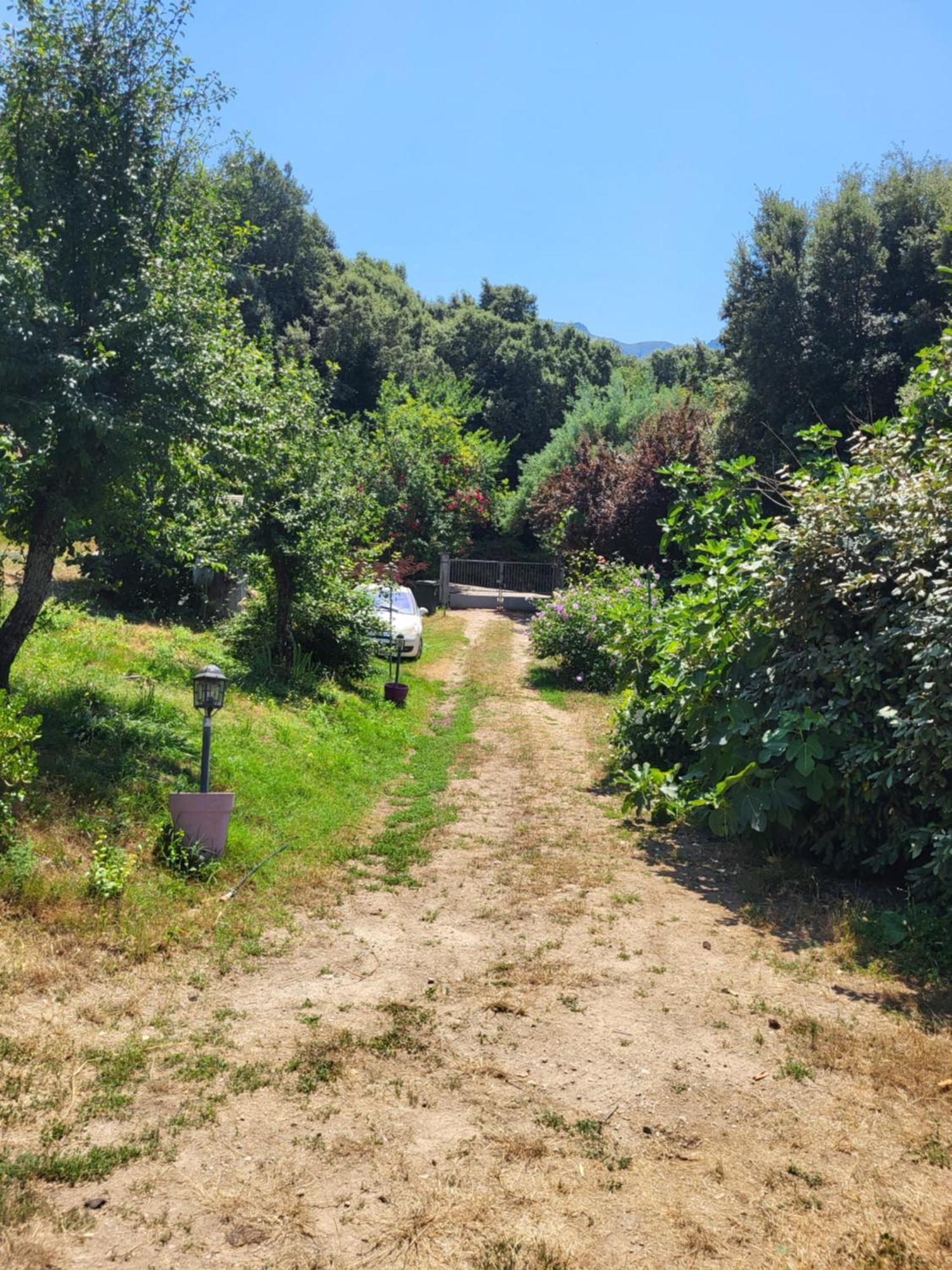 Studio A La Campagne Ucciani Exterior foto